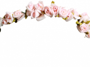 Flower Crown PNG Pic