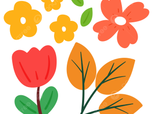 Flower Drawing PNG Clipart