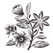 Flower Drawing PNG Cutout
