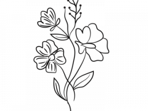 Flower Drawing PNG File