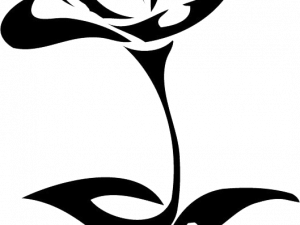 Flower Drawing PNG Image File