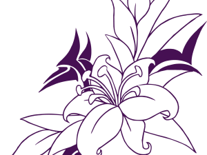 Flower Drawing PNG Images HD