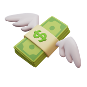 Fly Money PNG Cutout