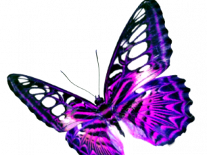 Flying Purple Butterfly Background PNG