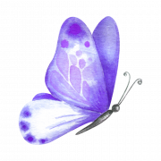 Flying Purple Butterfly PNG File