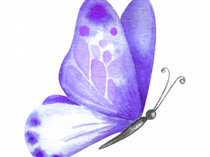 Flying Purple Butterfly PNG File