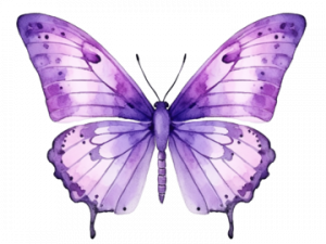 Flying Purple Butterfly PNG Free Image