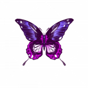 Flying Purple Butterfly PNG HD Image