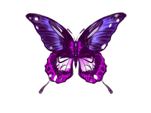 Flying Purple Butterfly PNG HD Image