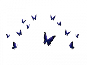 Flying Purple Butterfly PNG Image File