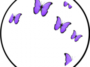 Flying Purple Butterfly PNG Photo