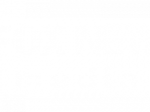 Fox News Logo PNG Background