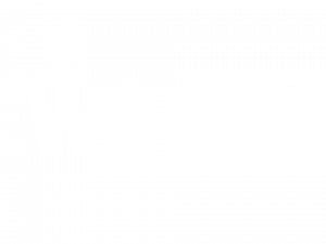 Fox News Logo PNG Image