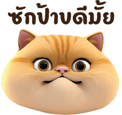 Funny Cat PNG Clipart