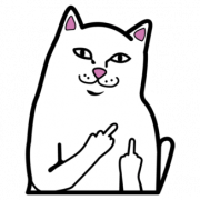 Funny Cat PNG Image HD