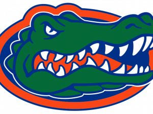 Gator PNG File