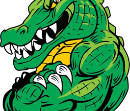 Gator PNG Photos