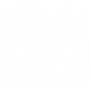 Glass Shatter PNG