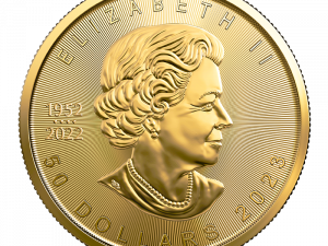 Gold Coins PNG