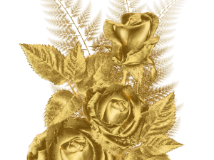 Gold Flower Transparent