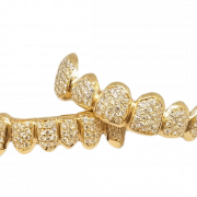 Gold Teeth PNG File