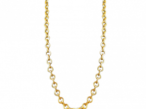 Golden Chain PNG Image File