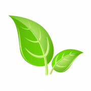 Green Leaf PNG Background