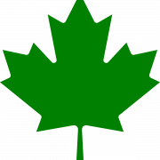 Green Leaf PNG Free Image