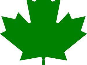 Green Leaf PNG Free Image