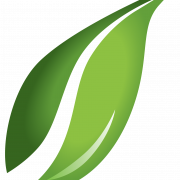 Green Leaf Transparent