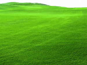 Ground Background PNG