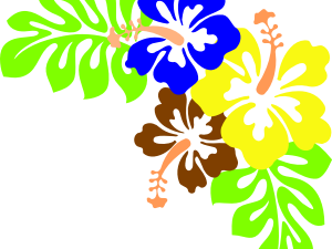 Hawaii Flower Background PNG