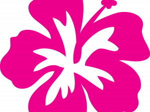 Hawaii Flower PNG Clipart