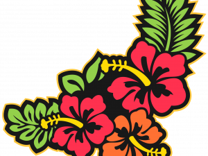 Hawaii Flower PNG Cutout