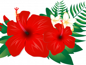 Hawaii Flower PNG Free Image