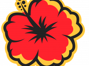 Hawaii Flower PNG HD Image