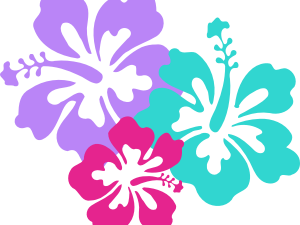 Hawaii Flower PNG Image