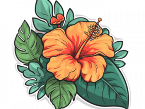 Hawaii Flower PNG Image File