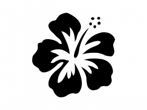 Hawaii Flower PNG Image HD