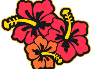 Hawaii Flower PNG Images