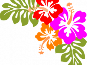 Hawaii Flower PNG Images HD