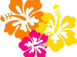 Hawaii Flower PNG Photos