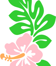 Hawaii Flower PNG Pic