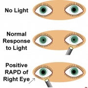 High Eyes PNG Picture