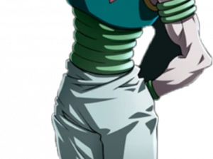 Hisoka PNG