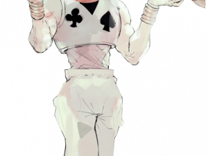 Hisoka PNG Cutout