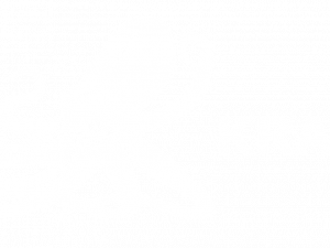 Kraken PNG Image HD