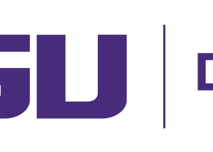 LSU PNG