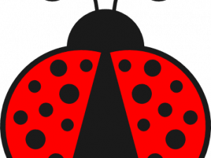 Lady Bug Background PNG