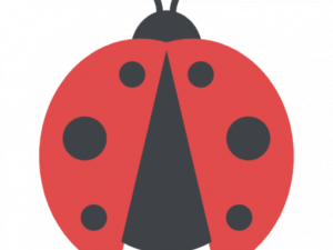 Lady Bug PNG Images